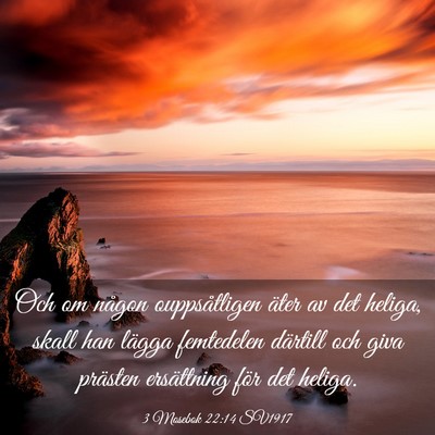 Picture 03 - 3 Mosebok 22:14 SV1917 - Och om någon ouppsåtligen äter av det heliga, - Bible Verse Picture