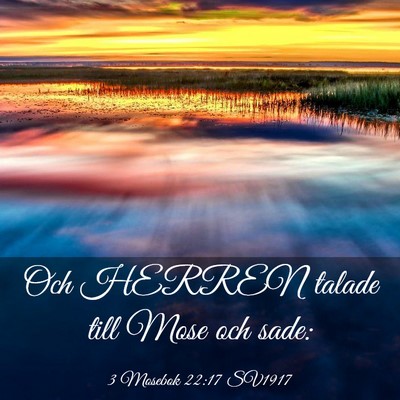 Picture 03 - 3 Mosebok 22:17 SV1917 - Och HERREN talade till Mose och - Bible Verse Picture