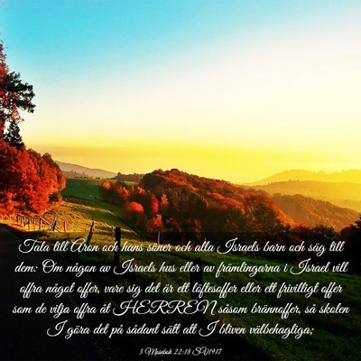 Picture 03 - 3 Mosebok 22:18 SV1917 - Tala till Aron och hans söner och alla Israels - Bible Verse Picture