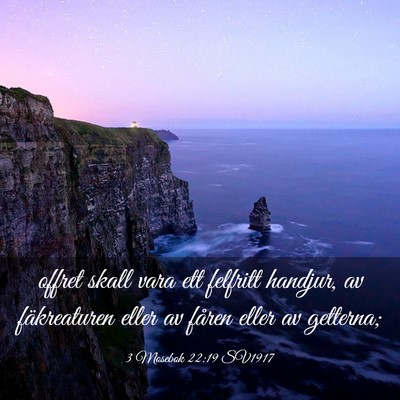 Picture 03 - 3 Mosebok 22:19 SV1917 - offret skall vara ett felfritt handjur, av - Bible Verse Picture