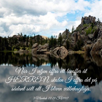 Picture 03 - 3 Mosebok 22:29 SV1917 - När I viljen offra ett lovoffer åt HERREN, - Bible Verse Picture
