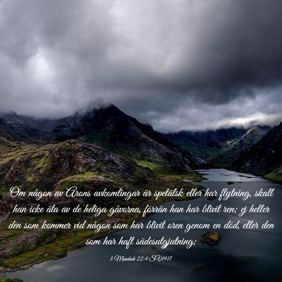 Picture 03 - 3 Mosebok 22:4 SV1917 - Om någon av Arons avkomlingar är spetälsk - Bible Verse Picture