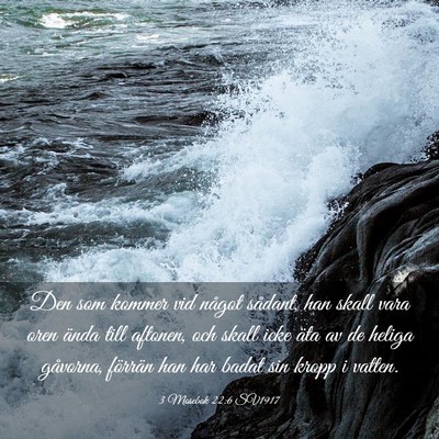 Picture 03 - 3 Mosebok 22:6 SV1917 - Den som kommer vid något sådant, han skall vara - Bible Verse Picture