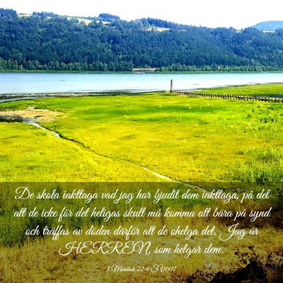 Picture 03 - 3 Mosebok 22:9 SV1917 - De skola iakttaga vad jag har bjudit dem - Bible Verse Picture