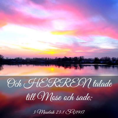 Picture 03 - 3 Mosebok 23:1 SV1917 - Och HERREN talade till Mose och - Bible Verse Picture