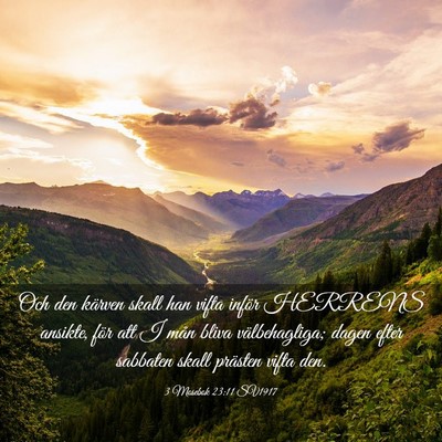 Picture 03 - 3 Mosebok 23:11 SV1917 - Och den kärven skall han vifta inför HERRENS - Bible Verse Picture