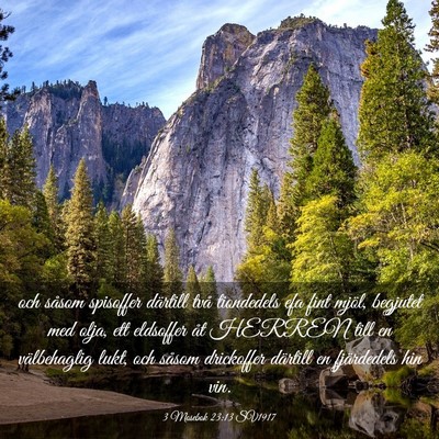 Picture 03 - 3 Mosebok 23:13 SV1917 - och såsom spisoffer därtill två tiondedels efa - Bible Verse Picture