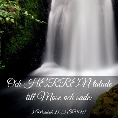 Picture 03 - 3 Mosebok 23:23 SV1917 - Och HERREN talade till Mose och - Bible Verse Picture