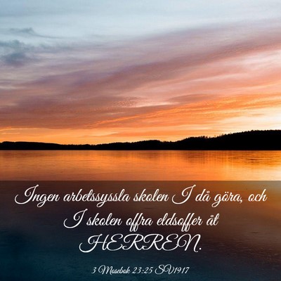 Picture 03 - 3 Mosebok 23:25 SV1917 - Ingen arbetssyssla skolen I då göra, och I - Bible Verse Picture