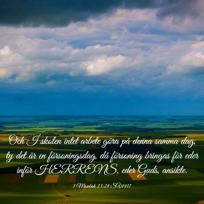 Picture 03 - 3 Mosebok 23:28 SV1917 - Och I skolen intet arbete göra på denna samma - Bible Verse Picture