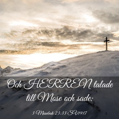 Picture 03 - 3 Mosebok 23:33 SV1917 - Och HERREN talade till Mose och - Bible Verse Picture