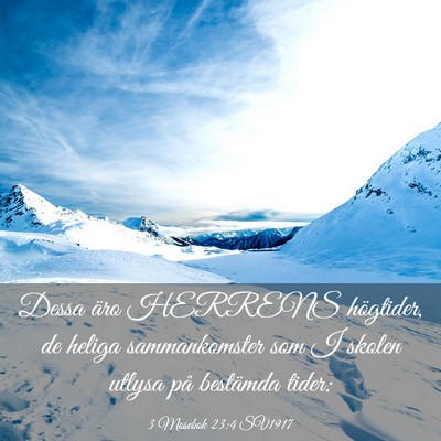 Picture 03 - 3 Mosebok 23:4 SV1917 - Dessa äro HERRENS högtider, de heliga - Bible Verse Picture