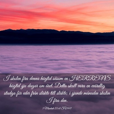 Picture 03 - 3 Mosebok 23:41 SV1917 - I skolen fira denna högtid såsom en HERRENS - Bible Verse Picture