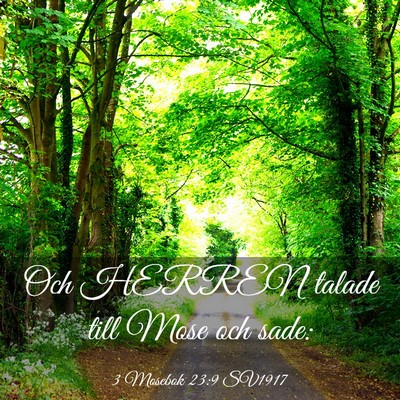 Picture 03 - 3 Mosebok 23:9 SV1917 - Och HERREN talade till Mose och - Bible Verse Picture