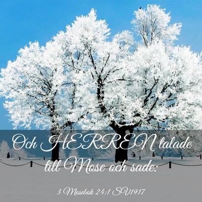 Picture 03 - 3 Mosebok 24:1 SV1917 - Och HERREN talade till Mose och - Bible Verse Picture