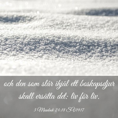 Picture 03 - 3 Mosebok 24:18 SV1917 - och den som slår ihjäl ett boskapsdjur skall - Bible Verse Picture
