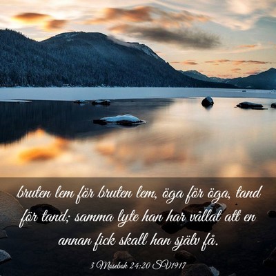 Picture 03 - 3 Mosebok 24:20 SV1917 - bruten lem för bruten lem, öga för öga, tand - Bible Verse Picture