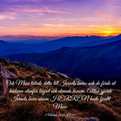 Picture 03 - 3 Mosebok 24:23 SV1917 - Och Mose talade detta till Israels barn; och de - Bible Verse Picture