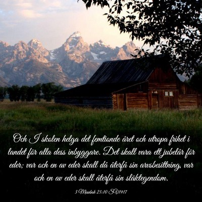 Picture 03 - 3 Mosebok 25:10 SV1917 - Och I skolen helga det femtionde året och utropa - Bible Verse Picture