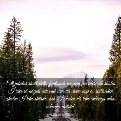 Picture 03 - 3 Mosebok 25:11 SV1917 - Ett jubelår skall detta femtionde år vara för - Bible Verse Picture