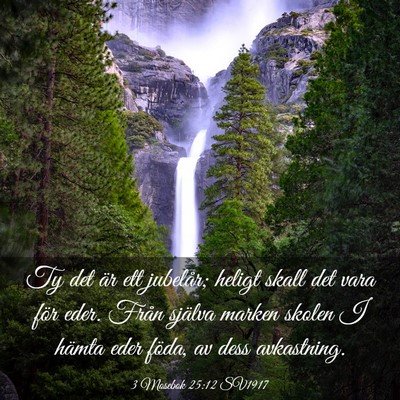 Picture 03 - 3 Mosebok 25:12 SV1917 - Ty det är ett jubelår; heligt skall det vara - Bible Verse Picture