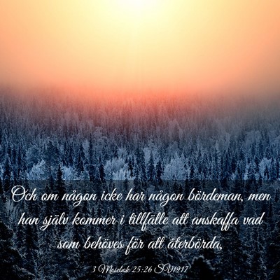 Picture 03 - 3 Mosebok 25:26 SV1917 - Och om någon icke har någon bördeman, men han - Bible Verse Picture