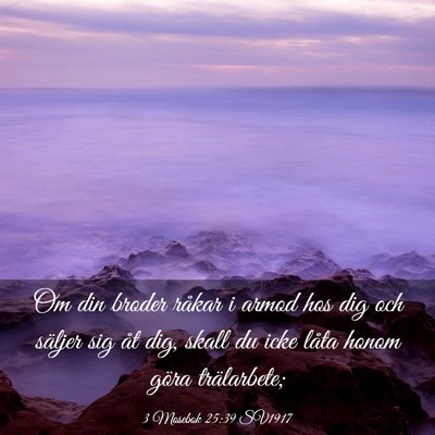 Picture 03 - 3 Mosebok 25:39 SV1917 - Om din broder råkar i armod hos dig och säljer - Bible Verse Picture