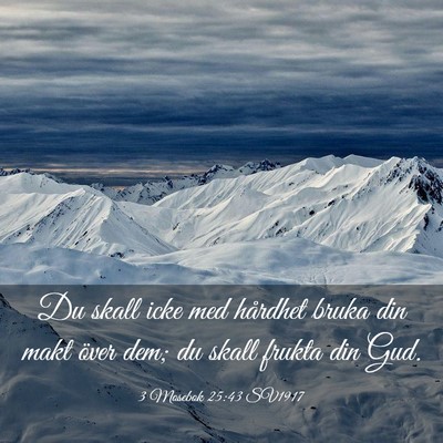 Picture 03 - 3 Mosebok 25:43 SV1917 - Du skall icke med hårdhet bruka din makt över - Bible Verse Picture