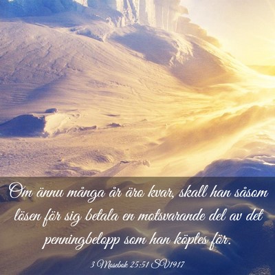 Picture 03 - 3 Mosebok 25:51 SV1917 - Om ännu många år äro kvar, skall han såsom - Bible Verse Picture