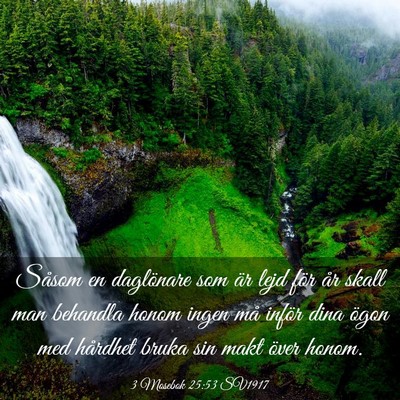 Picture 03 - 3 Mosebok 25:53 SV1917 - Såsom en daglönare som är lejd för år skall - Bible Verse Picture