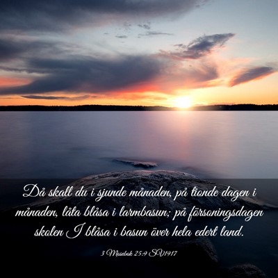 Picture 03 - 3 Mosebok 25:9 SV1917 - Då skall du i sjunde månaden, på tionde dagen - Bible Verse Picture
