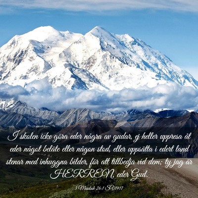 Picture 03 - 3 Mosebok 26:1 SV1917 - I skolen icke göra eder några av gudar, ej - Bible Verse Picture