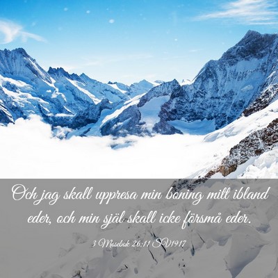 Picture 03 - 3 Mosebok 26:11 SV1917 - Och jag skall uppresa min boning mitt ibland - Bible Verse Picture