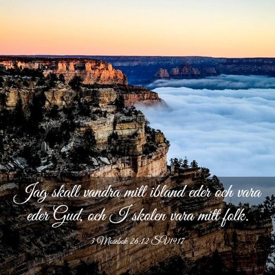 Picture 03 - 3 Mosebok 26:12 SV1917 - Jag skall vandra mitt ibland eder och vara eder - Bible Verse Picture