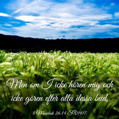 Picture 03 - 3 Mosebok 26:14 SV1917 - Men om I icke hören mig och icke gören efter - Bible Verse Picture