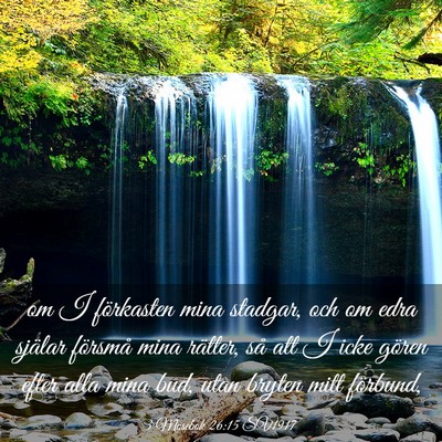 Picture 03 - 3 Mosebok 26:15 SV1917 - om I förkasten mina stadgar, och om edra själar - Bible Verse Picture