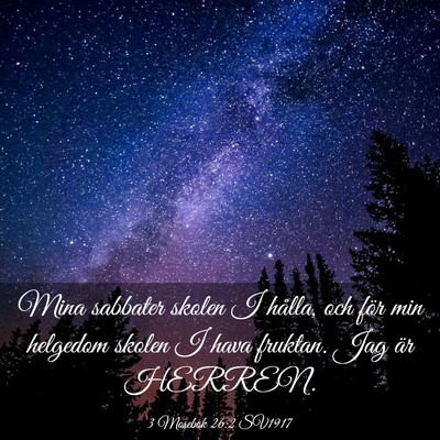 Picture 03 - 3 Mosebok 26:2 SV1917 - Mina sabbater skolen I hålla, och för min - Bible Verse Picture