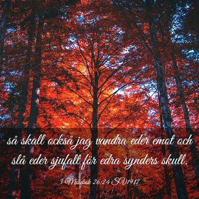 Picture 03 - 3 Mosebok 26:24 SV1917 - så skall också jag vandra eder emot och slå - Bible Verse Picture