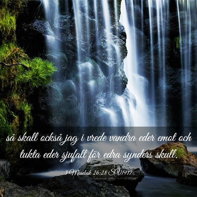 Picture 03 - 3 Mosebok 26:28 SV1917 - så skall också jag i vrede vandra eder emot och - Bible Verse Picture