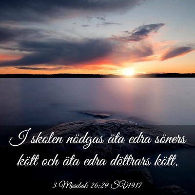 Picture 03 - 3 Mosebok 26:29 SV1917 - I skolen nödgas äta edra söners kött och äta - Bible Verse Picture