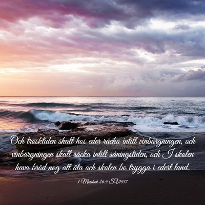 Picture 03 - 3 Mosebok 26:5 SV1917 - Och trösktiden skall hos eder räcka intill - Bible Verse Picture