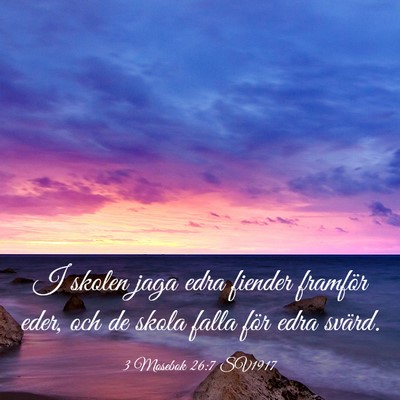 Picture 03 - 3 Mosebok 26:7 SV1917 - I skolen jaga edra fiender framför eder, och de - Bible Verse Picture