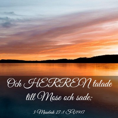 Picture 03 - 3 Mosebok 27:1 SV1917 - Och HERREN talade till Mose och - Bible Verse Picture