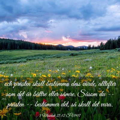 Picture 03 - 3 Mosebok 27:12 SV1917 - och prästen skall bestämma dess värde, - Bible Verse Picture