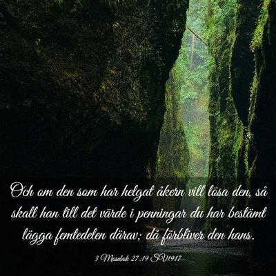 Picture 03 - 3 Mosebok 27:19 SV1917 - Och om den som har helgat åkern vill lösa den, - Bible Verse Picture