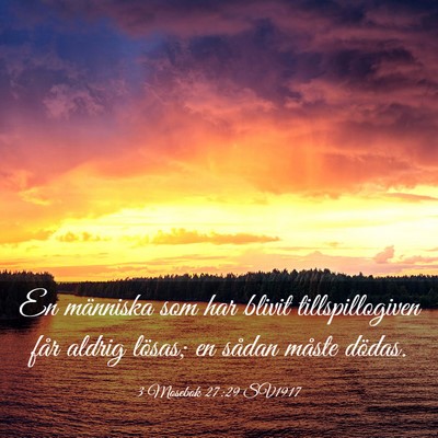 Picture 03 - 3 Mosebok 27:29 SV1917 - En människa som har blivit tillspillogiven får - Bible Verse Picture