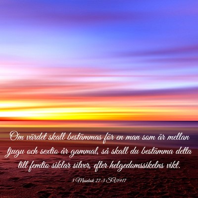 Picture 03 - 3 Mosebok 27:3 SV1917 - Om värdet skall bestämmas för en man som är - Bible Verse Picture