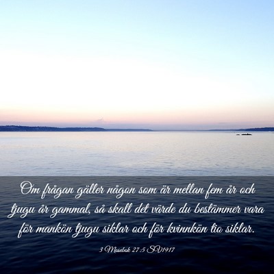 Picture 03 - 3 Mosebok 27:5 SV1917 - Om frågan gäller någon som är mellan fem år - Bible Verse Picture