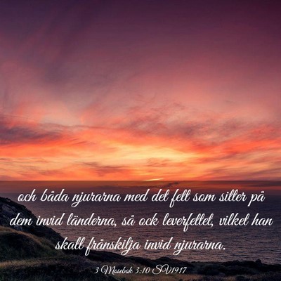Picture 03 - 3 Mosebok 3:10 SV1917 - och båda njurarna med det fett som sitter på - Bible Verse Picture