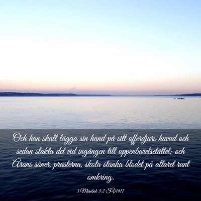 Picture 03 - 3 Mosebok 3:2 SV1917 - Och han skall lägga sin hand på sitt offerdjurs - Bible Verse Picture